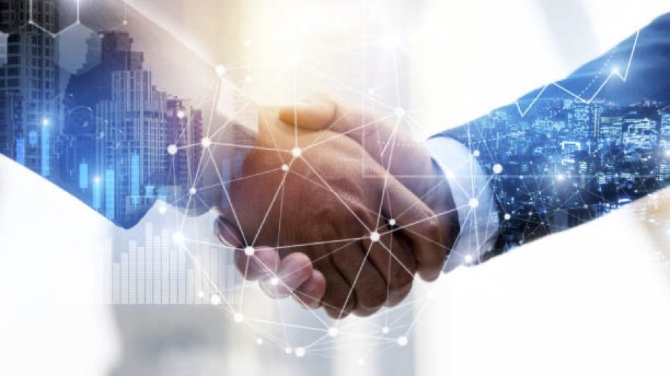 Professional team collaboration